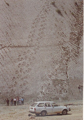 Dino tracks